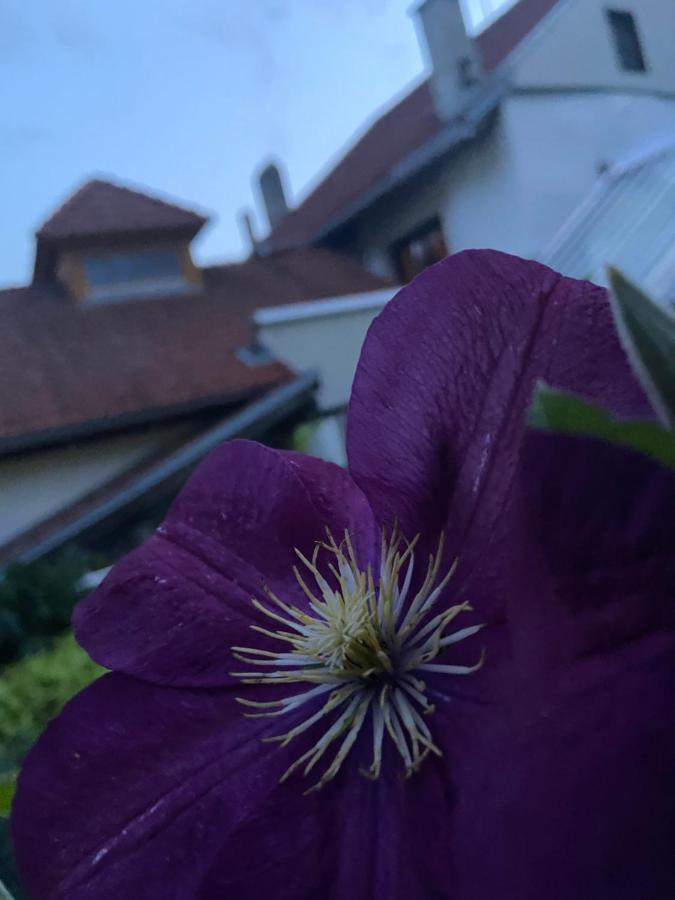 Gasthof Zum Mohrn Oberwoelz Stadt Kültér fotó